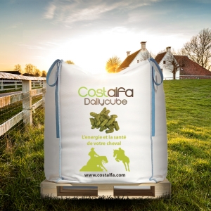 Costalfa Dailycube Big Bag +-1000kg