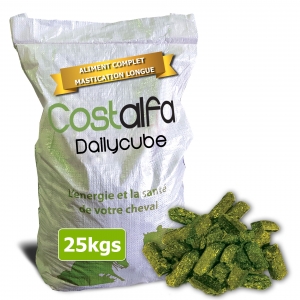 Petit Wafer Dailycube 25kg/sac