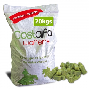 WaferPlus+ 20kg/sac