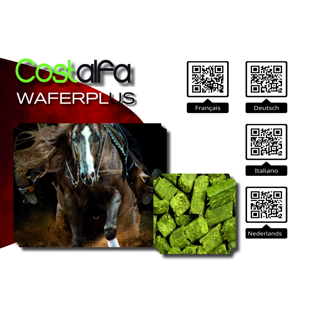 Costalfa Equilibre 20kg, Alimentation chevaux, nourriture de base