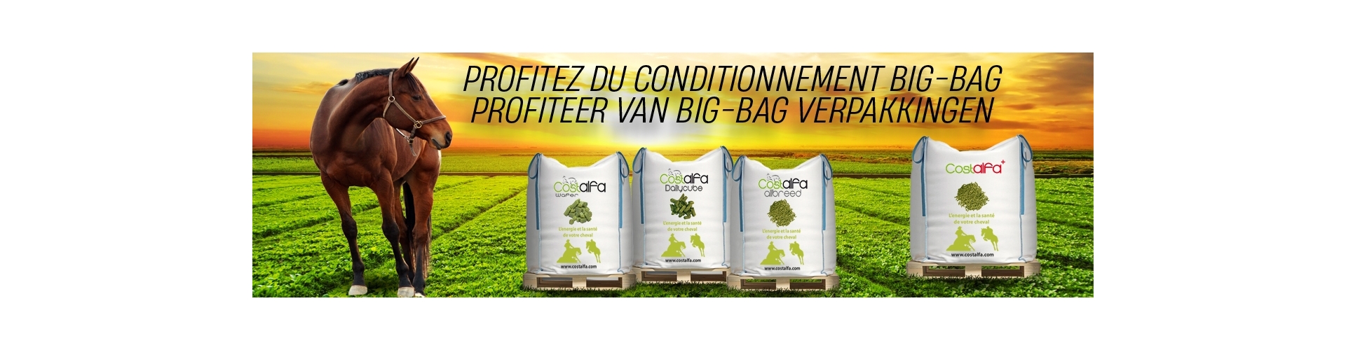Big-Bag